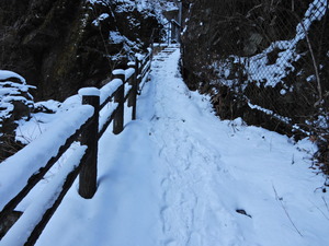 DSCN9636