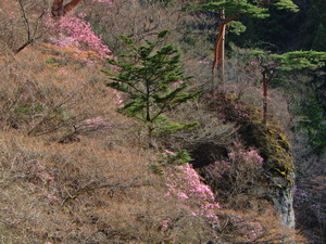 DSCN9848