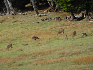 DSCN9676