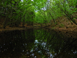DSCN9515