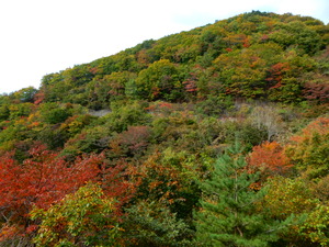 DSCN9337