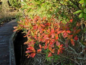 DSCN0025