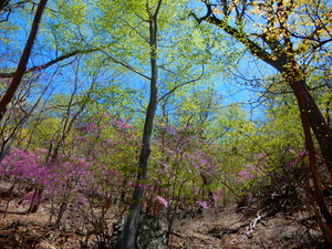 DSCN0132