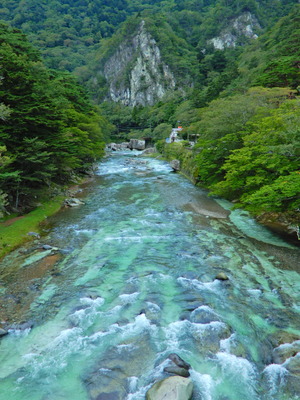 DSCN9491