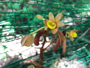 IMG_4966