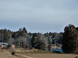 DSCN8863