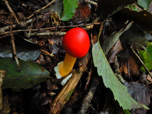 DSCN0850