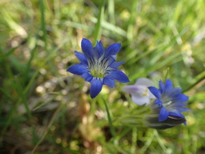 P6040064