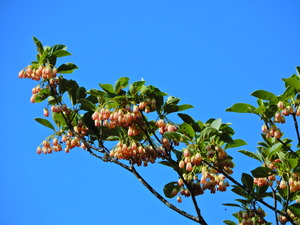 DSCN0171