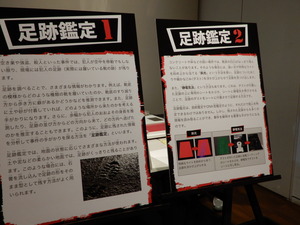 DSCN9774