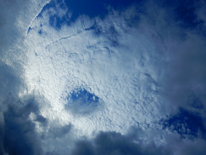 DSCN0704