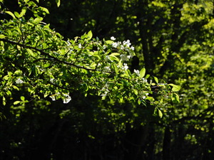 DSCN0437