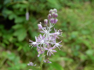 DSCN9987