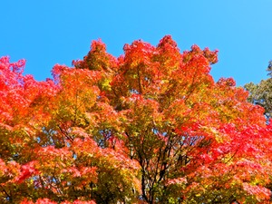DSCN1730