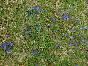 DSCN9914