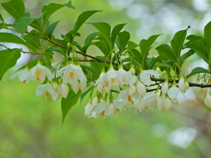 DSCN0359