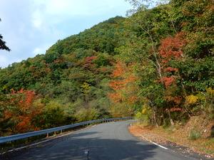 DSCN9317