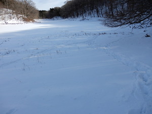 DSCN0284