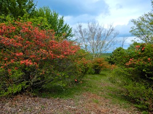 DSCN9932