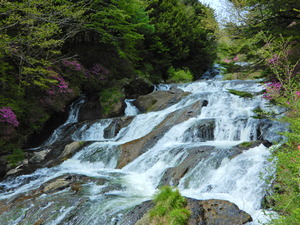DSCN9760