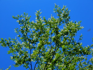 DSCN0422