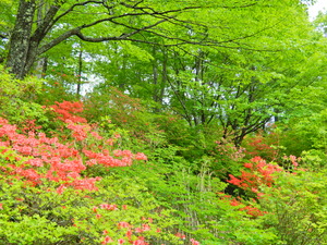 DSCN9827