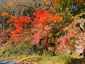 DSCN9726