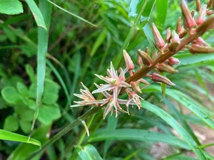 IMG_1088
