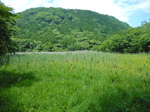 DSCN9765