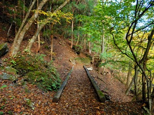 DSCN1457