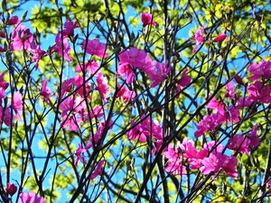 DSCN0376