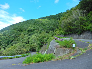 DSCN9635