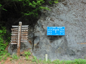 DSCN0062