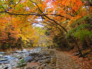 DSCN0933