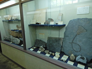DSCN9710