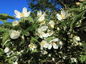 DSCN0427