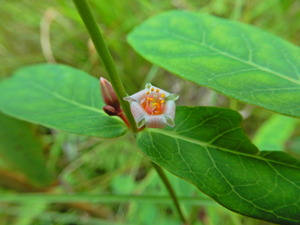 DSCN0255