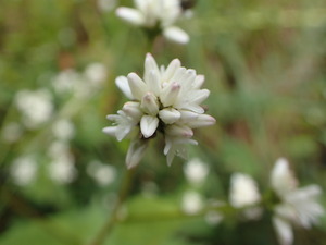 P9281235