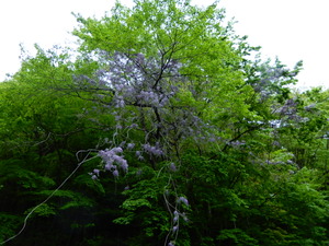 DSCN9409
