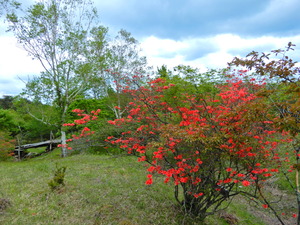 DSCN9955