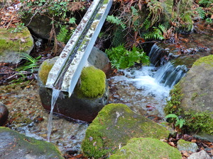 DSCN0337