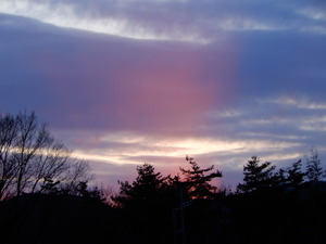 DSCN9710