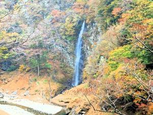 DSCN9351