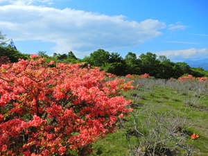 DSCN0129