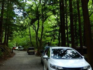 DSCN9721