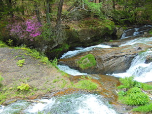DSCN9761