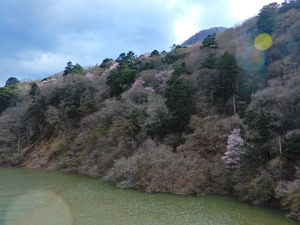 DSCN9797