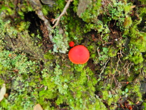 DSCN9417