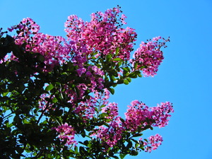 DSCN0537