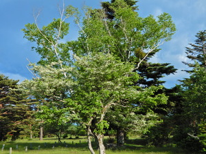 DSCN0262